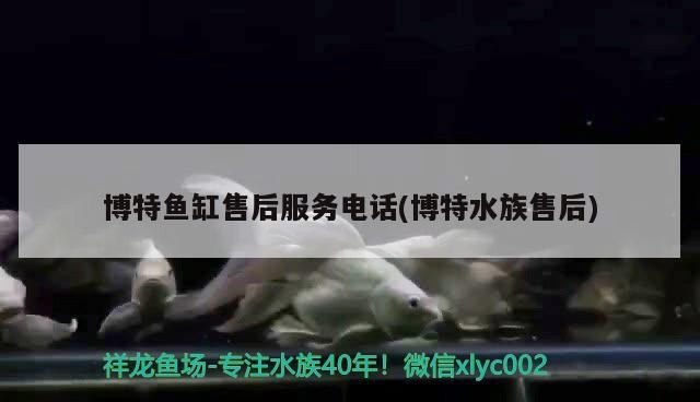 博特魚缸售后服務電話(博特水族售后)