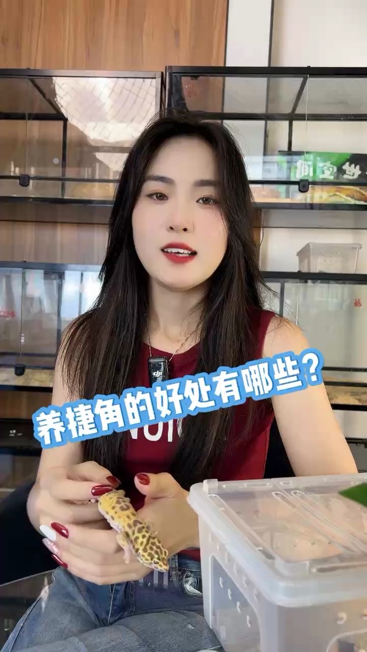 玻璃做魚缸怎么粘才牢固:如何自制玻璃魚缸 養睫角的好處有哪些 龍魚論壇 養睫角的好處有哪些 養睫角的好處有哪些 龍魚論壇