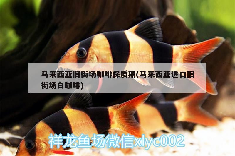 馬來西亞舊街場咖啡保質期(馬來西亞進口舊街場白咖啡) 馬來西亞舊街場咖啡保質期(馬來西亞進口舊街場白咖啡) 馬來西亞咖啡
