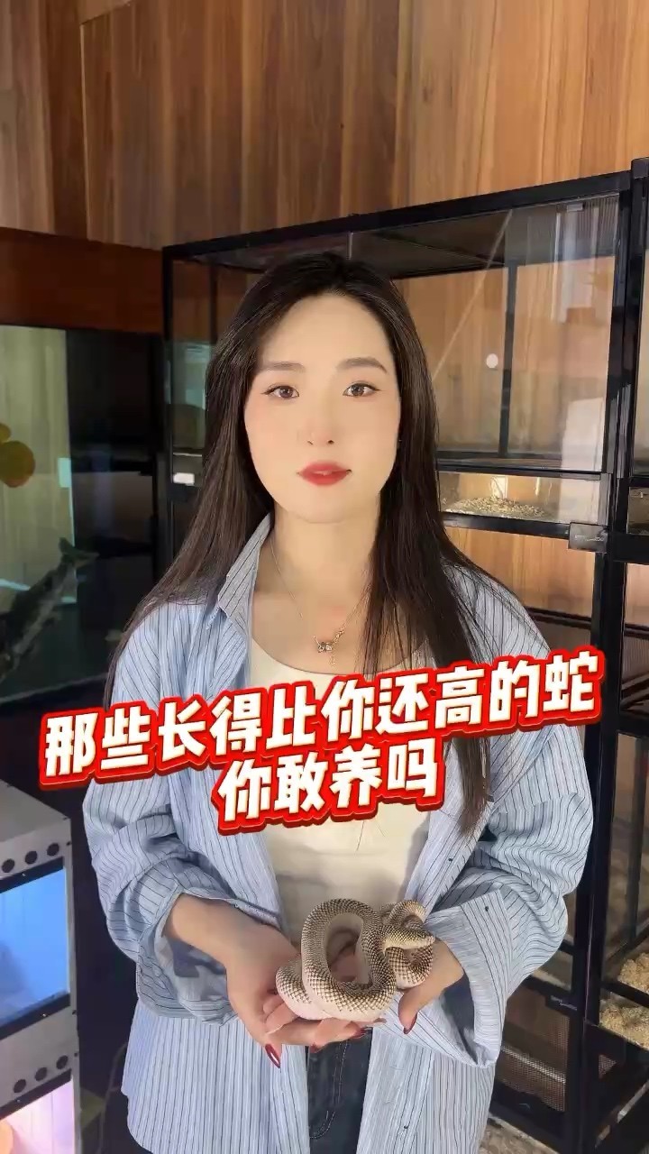 魚缸用增氧泵價格是多少:魚缸增氧機-xtrac增氧機-xtrac增氧機 比你長得高的寵物蛇見過嗎 龍魚論壇 比你長得高的寵物蛇見過嗎 比你長得高的寵物蛇見過嗎 龍魚論壇