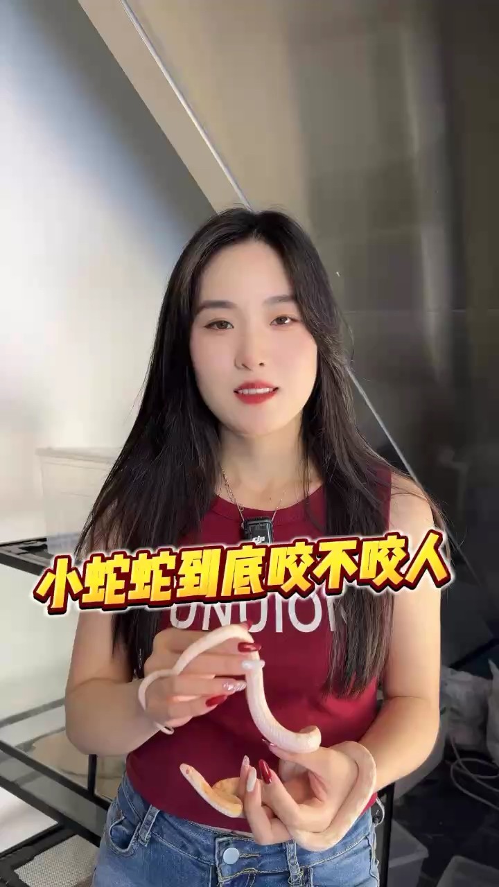 龍魚干蝦有營養(yǎng)嗎 寵物蛇咬人不 龍魚論壇 寵物蛇咬人不 寵物蛇咬人不 龍魚論壇