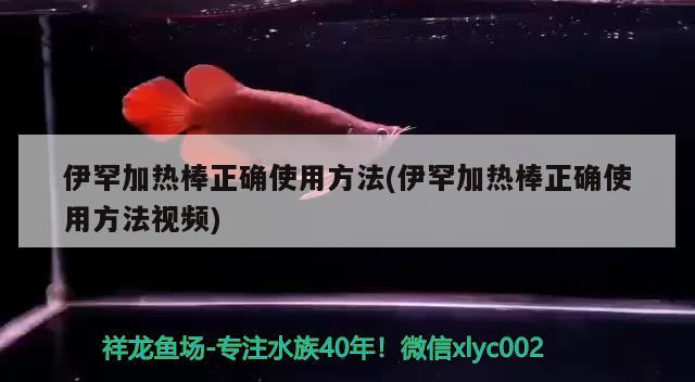 伊罕加熱棒正確使用方法(伊罕加熱棒正確使用方法視頻)