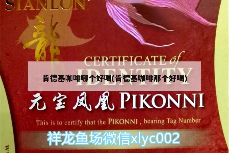 肯德基咖啡哪個好喝(肯德基咖啡那個好喝) 肯德基咖啡哪個好喝(肯德基咖啡那個好喝) 馬來西亞咖啡