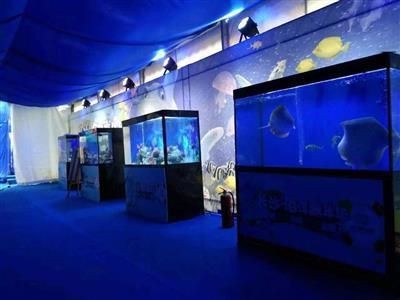 2020水族魚缸博覽會圖片:2020上海國際水族展亮點打造最具性價比展會 魚缸百科 第1張 2020水族魚缸博覽會圖片:2020上海國際水族展亮點打造最具性價比展會 2020水族魚缸博覽會圖片:2020上海國際水族展亮點打造最具性價比展會 魚缸百科 第1張