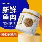 豬鼻龜價格行情走勢:豬鼻龜價格會降嗎 豬鼻龜百科 第11張 豬鼻龜價格行情走勢:豬鼻龜價格會降嗎 豬鼻龜價格行情走勢:豬鼻龜價格會降嗎 豬鼻龜百科 第11張