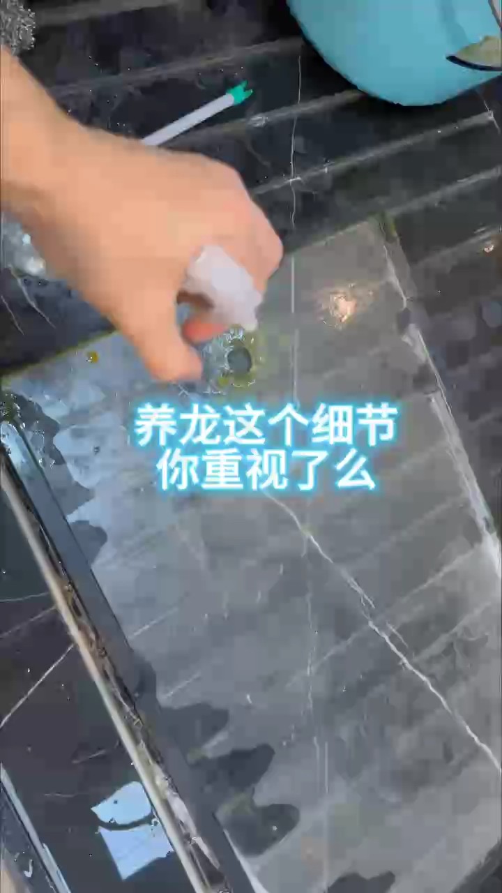 養(yǎng)龍魚(yú)容易被忽略的一個(gè)小細(xì)節(jié)