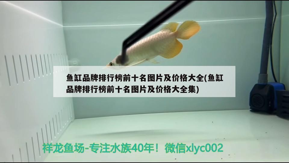 魚缸品牌排行榜前十名圖片及價格大全(魚缸品牌排行榜前十名圖片及價格大全集)