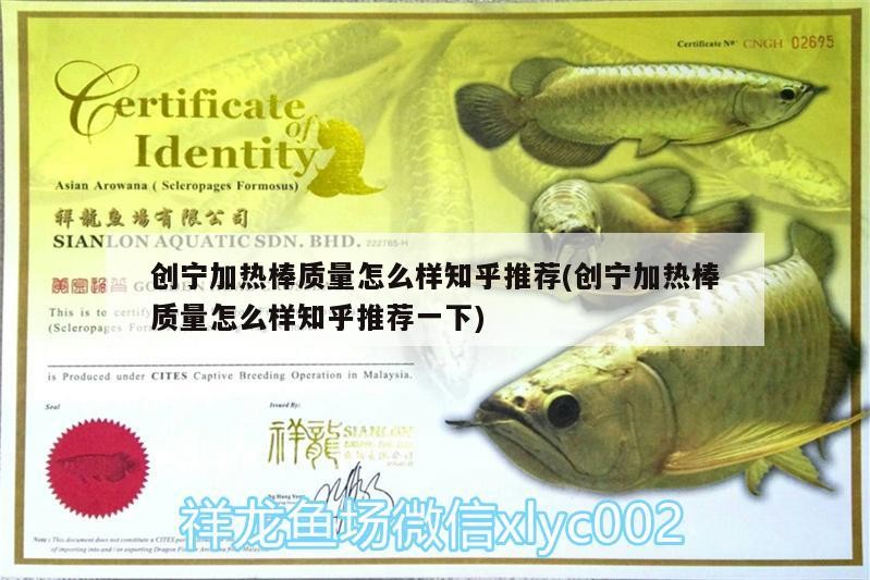 創(chuàng)寧加熱棒質(zhì)量怎么樣知乎推薦(創(chuàng)寧加熱棒質(zhì)量怎么樣知乎推薦一下) 創(chuàng)寧加熱棒質(zhì)量怎么樣知乎推薦(創(chuàng)寧加熱棒質(zhì)量怎么樣知乎推薦一下) 創(chuàng)寧水族