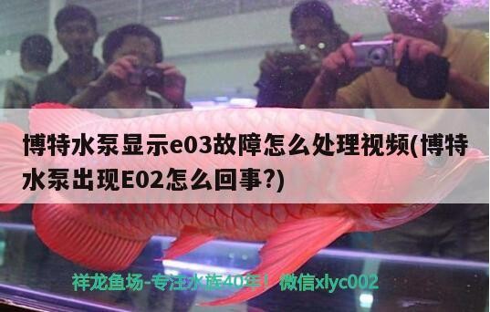 博特水泵顯示e03故障怎么處理視頻(博特水泵出現E02怎么回事?)
