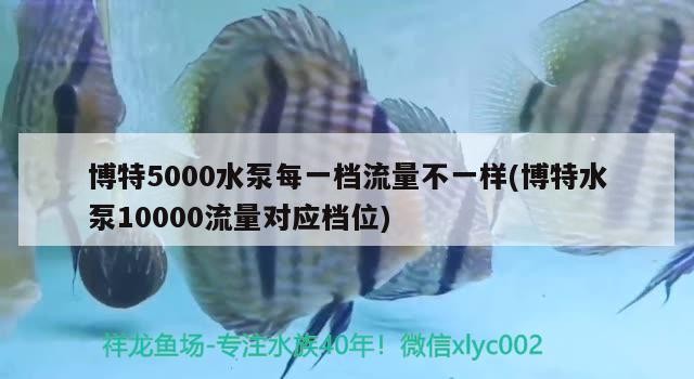 博特5000水泵每一檔流量不一樣(博特水泵10000流量對應檔位) 博特5000水泵每一檔流量不一樣(博特水泵10000流量對應檔位) 博特水族