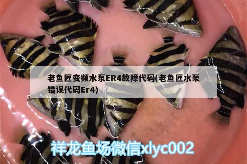 老魚匠變頻水泵ER4故障代碼(老魚匠水泵錯誤代碼Er4) 老魚匠變頻水泵ER4故障代碼(老魚匠水泵錯誤代碼Er4) 老魚匠