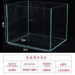 80的魚缸養(yǎng)錦鯉用什么過濾器好：80厘米的魚缸養(yǎng)錦鯉魚的選擇和過濾器的選擇和使用方法