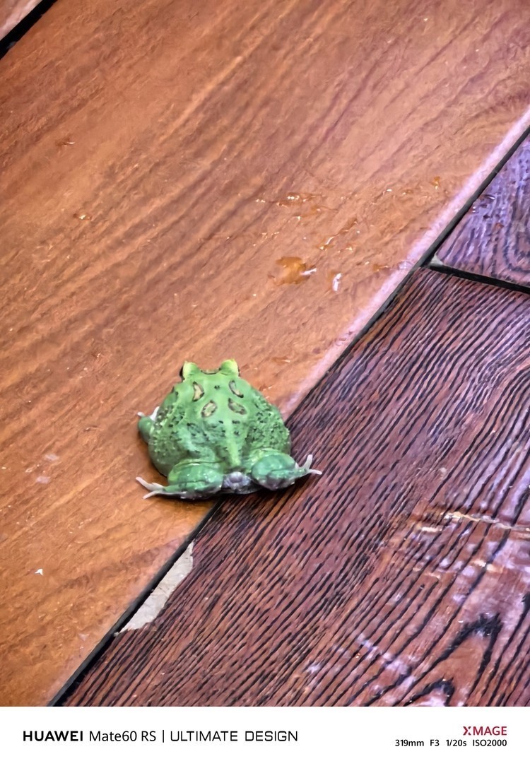 我兒子的