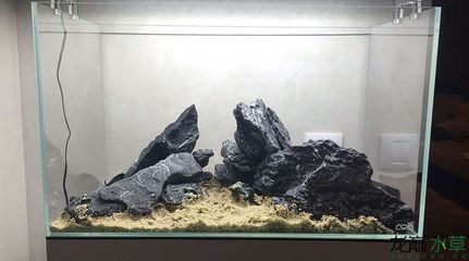 50厘米的魚缸造景：50厘米魚缸造景設計 50厘米的魚缸造景：50厘米魚缸造景設計 魚缸百科 第4張