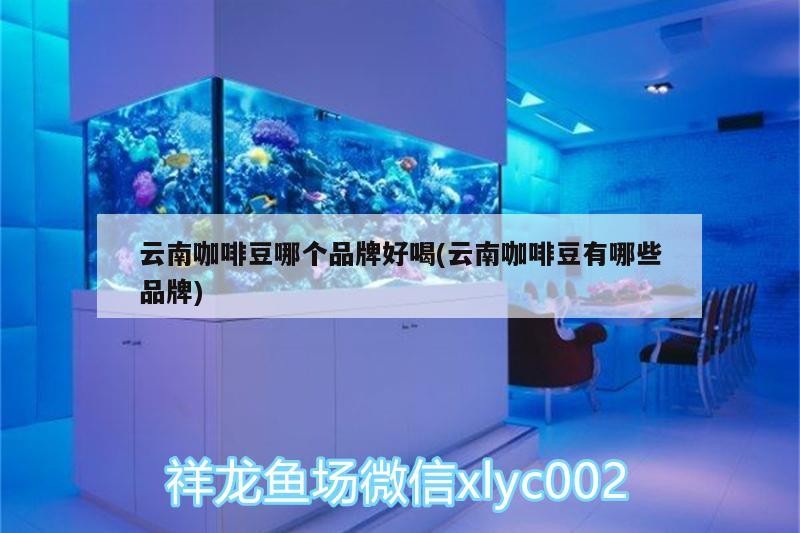 云南咖啡豆哪個品牌好喝(云南咖啡豆有哪些品牌) 云南咖啡豆哪個品牌好喝(云南咖啡豆有哪些品牌) 馬來西亞咖啡