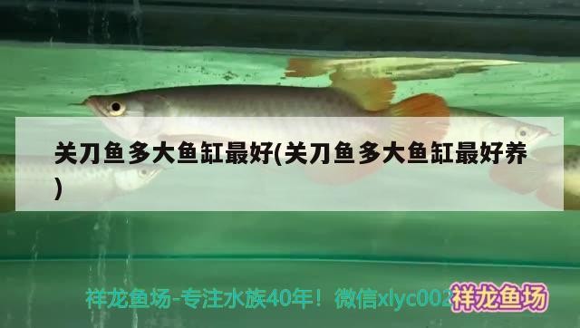 紅山區卞三觀賞魚店 紅山區卞三觀賞魚店 全國水族館企業名錄 第2張