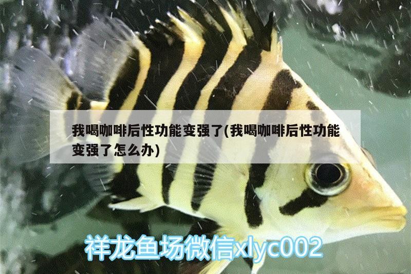 我喝咖啡后性功能變強了(我喝咖啡后性功能變強了怎么辦)