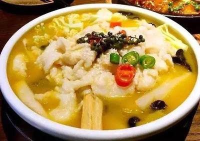 渭南龍魚vs祥龍魚場（探討渭南龍魚與祥龍魚場之間的差異之前需要明確兩個概念）