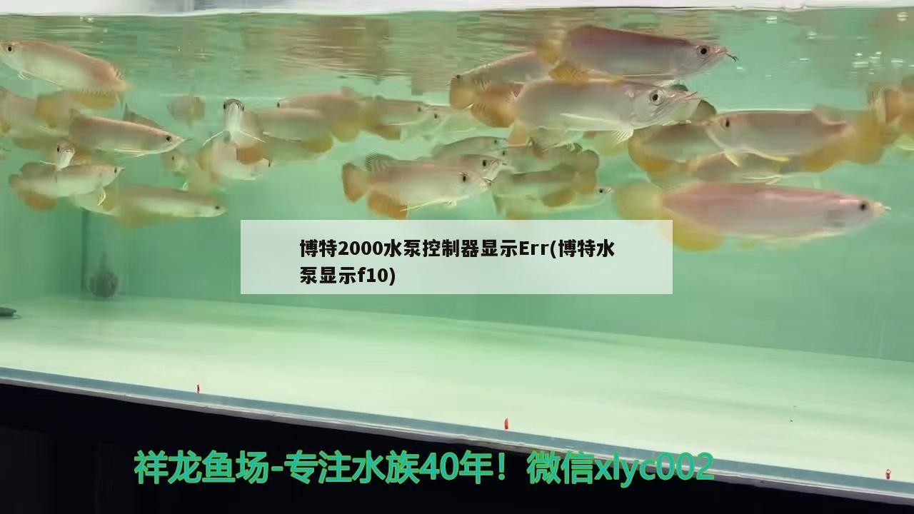 博特2000水泵控制器顯示Err(博特水泵顯示f10) 博特2000水泵控制器顯示Err(博特水泵顯示f10) 博特水族