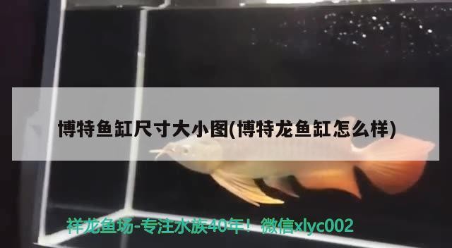 博特魚缸尺寸大小圖(博特龍魚缸怎么樣) 博特魚缸尺寸大小圖(博特龍魚缸怎么樣) 博特水族