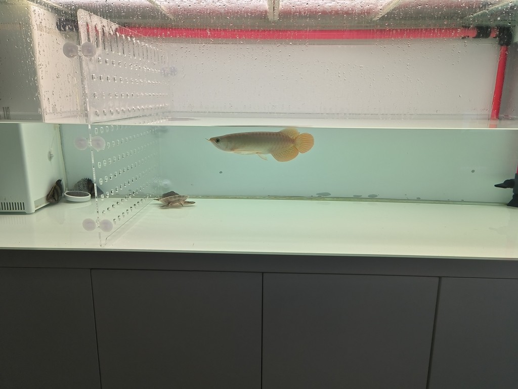 日常更新