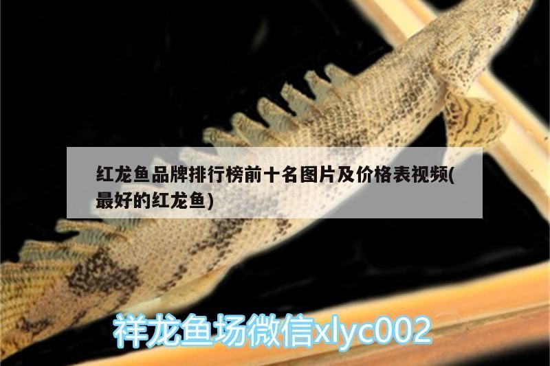伊罕精巧桶清洗了就啟動不了，伊罕精巧桶靜音嗎