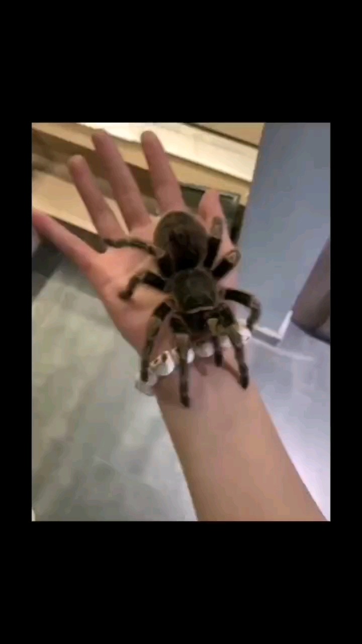 異寵合集有喜歡的私我