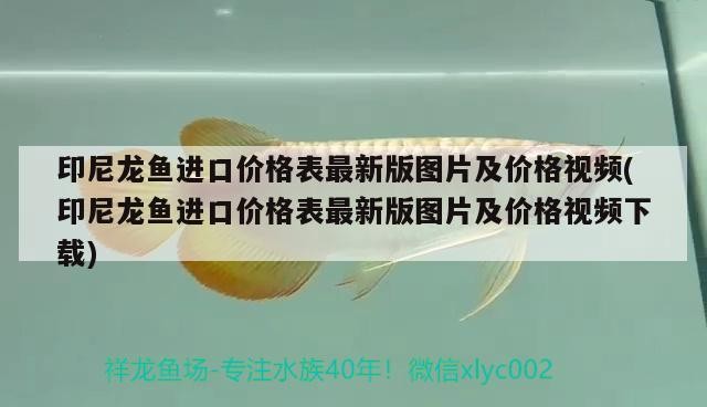 伊罕加熱棒已經調到極限：伊罕加熱棒加熱升不上去