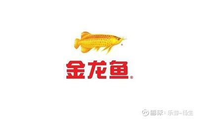 金龍魚害怕