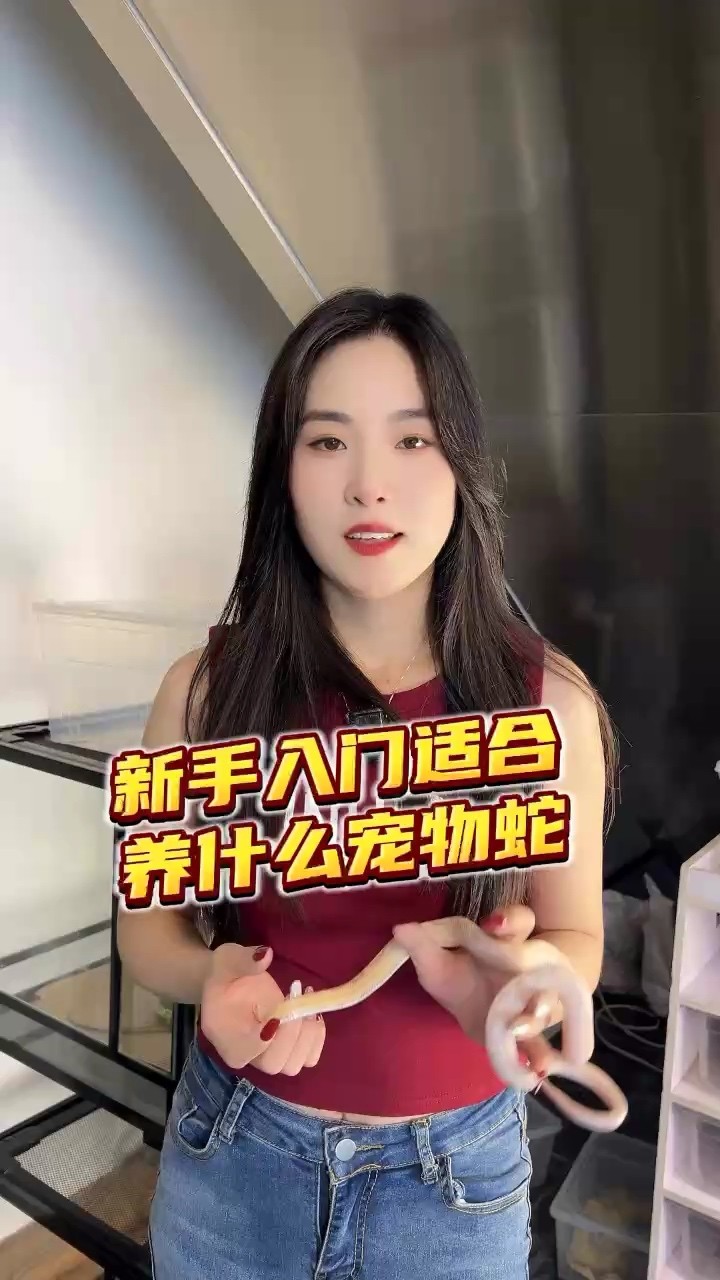 新手入門適合養(yǎng)什么寵物
