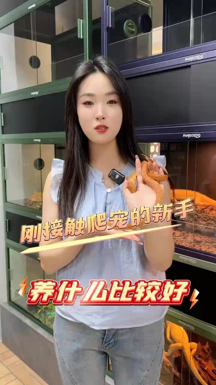 剛接觸異寵的新手應(yīng)該養(yǎng)什么