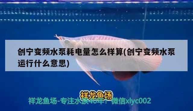 創寧變頻水泵耗電量怎么樣算(創寧變頻水泵運行什么意思) 創寧變頻水泵耗電量怎么樣算(創寧變頻水泵運行什么意思) 創寧水族