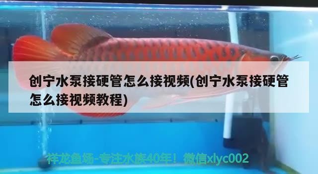 創寧水泵接硬管怎么接視頻(創寧水泵接硬管怎么接視頻教程)