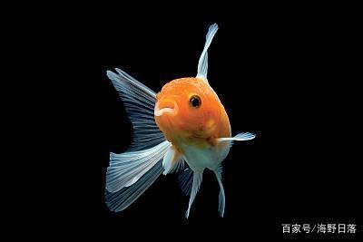 長沙魚缸維修店地址（長沙魚缸維修店地址電話） 長沙魚缸維修店地址（長沙魚缸維修店地址電話） 魚缸百科