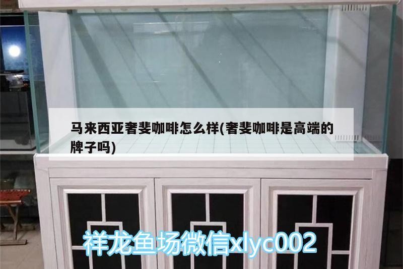 馬來西亞奢斐咖啡怎么樣(奢斐咖啡是高端的牌子嗎)