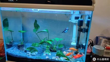 森森魚缸480 森森魚缸480 森森魚缸