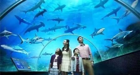 徐州水族館vs祥龍魚場（徐州水族館與祥龍魚場各有特色）