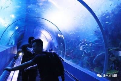 徐州水族館vs祥龍魚場（徐州水族館與祥龍魚場各有特色）