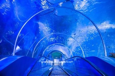 徐州水族館vs祥龍魚場（徐州水族館與祥龍魚場各有特色）