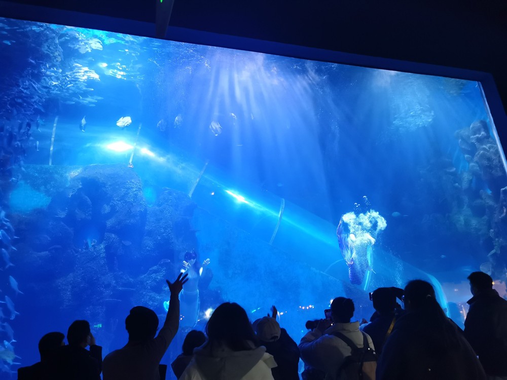 徐州水族館vs祥龍魚場（徐州水族館與祥龍魚場各有特色）