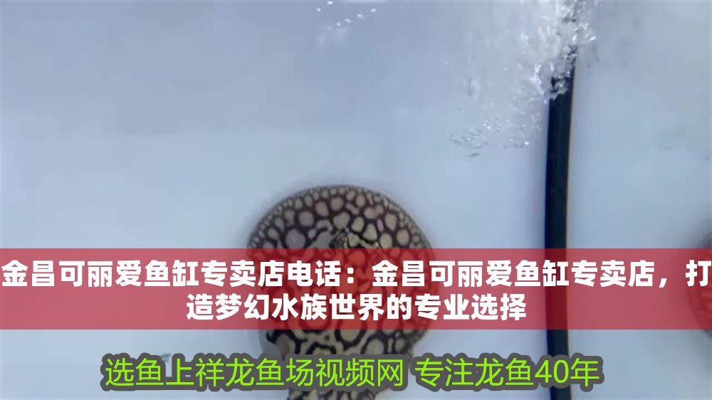 金昌可麗愛魚缸專賣店電話:金昌可麗愛魚缸專賣店,打造夢幻水族世界的專業選擇 iwish愛唯希品牌魚缸 第1張 金昌可麗愛魚缸專賣店電話:金昌可麗愛魚缸專賣店,打造夢幻水族世界的專業選擇 金昌可麗愛魚缸專賣店電話:金昌可麗愛魚缸專賣店,打造夢幻水族世界的專業選擇 iwish愛唯希品牌魚缸 第1張