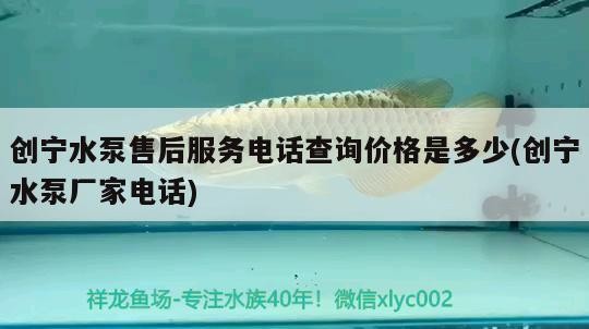 創寧水泵售后服務電話查詢價格是多少(創寧水泵廠家電話) 創寧水泵售后服務電話查詢價格是多少(創寧水泵廠家電話) 創寧水族