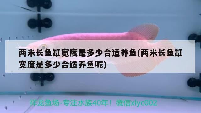 兩米長魚缸寬度是多少合適養(yǎng)魚(兩米長魚缸寬度是多少合適養(yǎng)魚呢) 兩米長魚缸寬度是多少合適養(yǎng)魚(兩米長魚缸寬度是多少合適養(yǎng)魚呢) 魚缸百科
