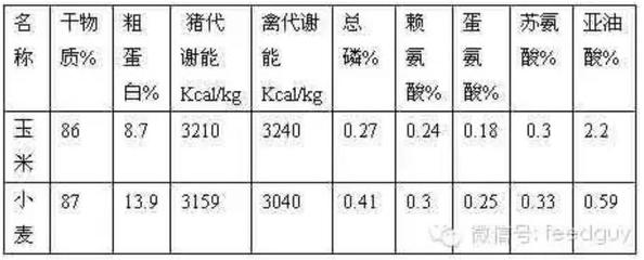 錦鯉水花，美麗背后的養殖難題，為何一般人養不活？ 錦鯉水花，美麗背后的養殖難題，為何一般人養不活？ 龍魚百科 第2張