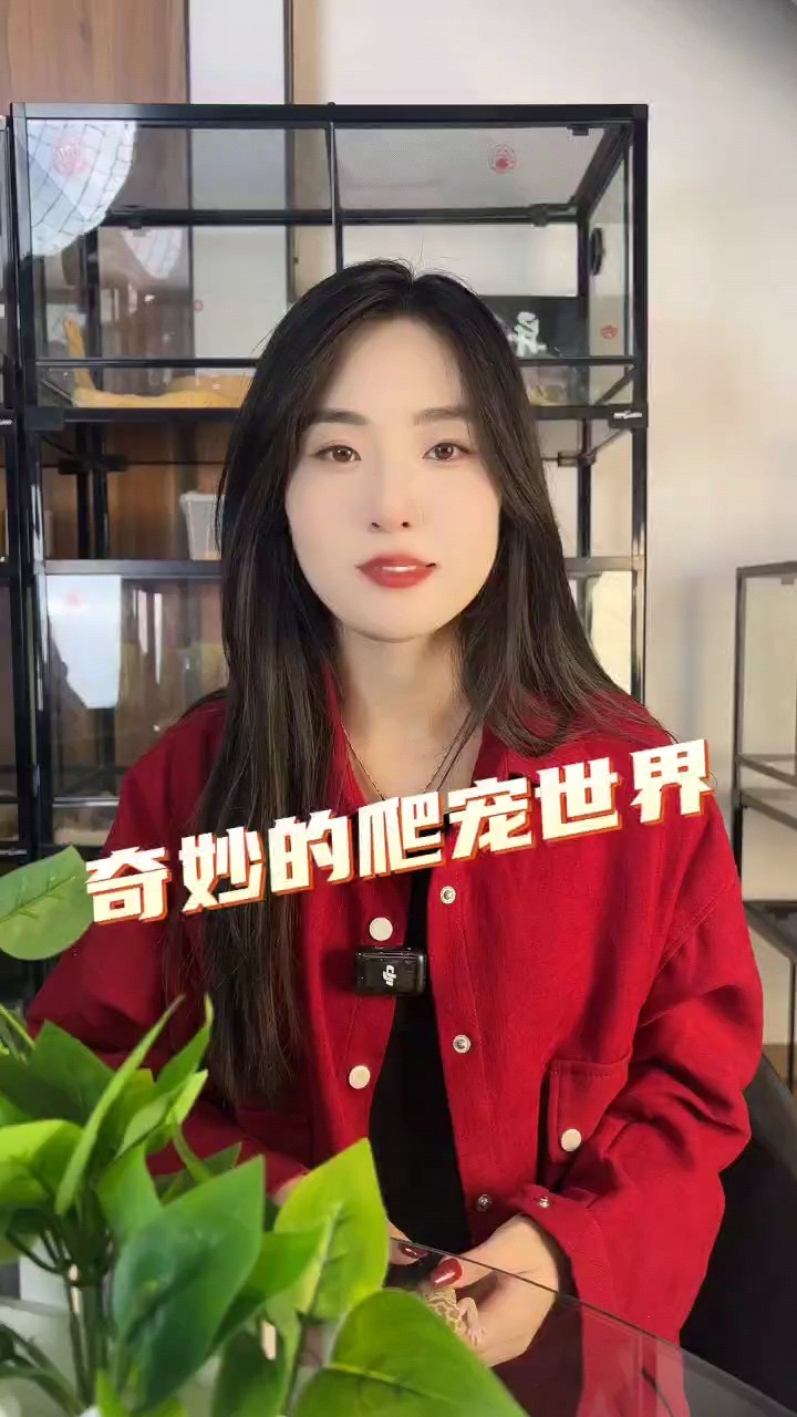 帶你了解爬寵世界