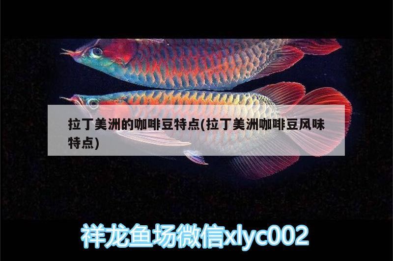 拉丁美洲的咖啡豆特點(diǎn)(拉丁美洲咖啡豆風(fēng)味特點(diǎn)) 拉丁美洲的咖啡豆特點(diǎn)(拉丁美洲咖啡豆風(fēng)味特點(diǎn)) 馬來(lái)西亞咖啡