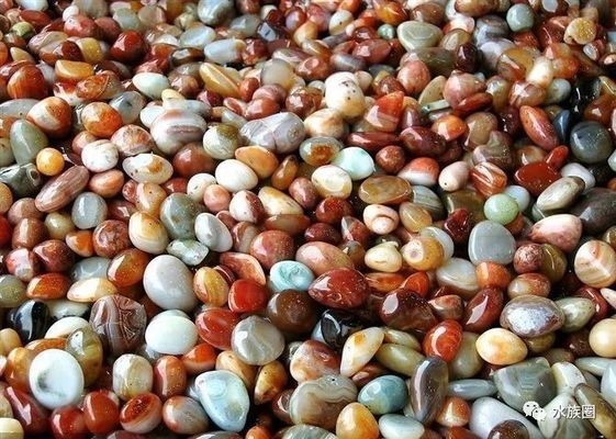 哪里批發(fā)魚缸比較便宜又好