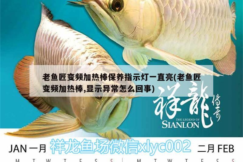 老魚匠變頻加熱棒保養指示燈一直亮(老魚匠變頻加熱棒,顯示異常怎么回事)