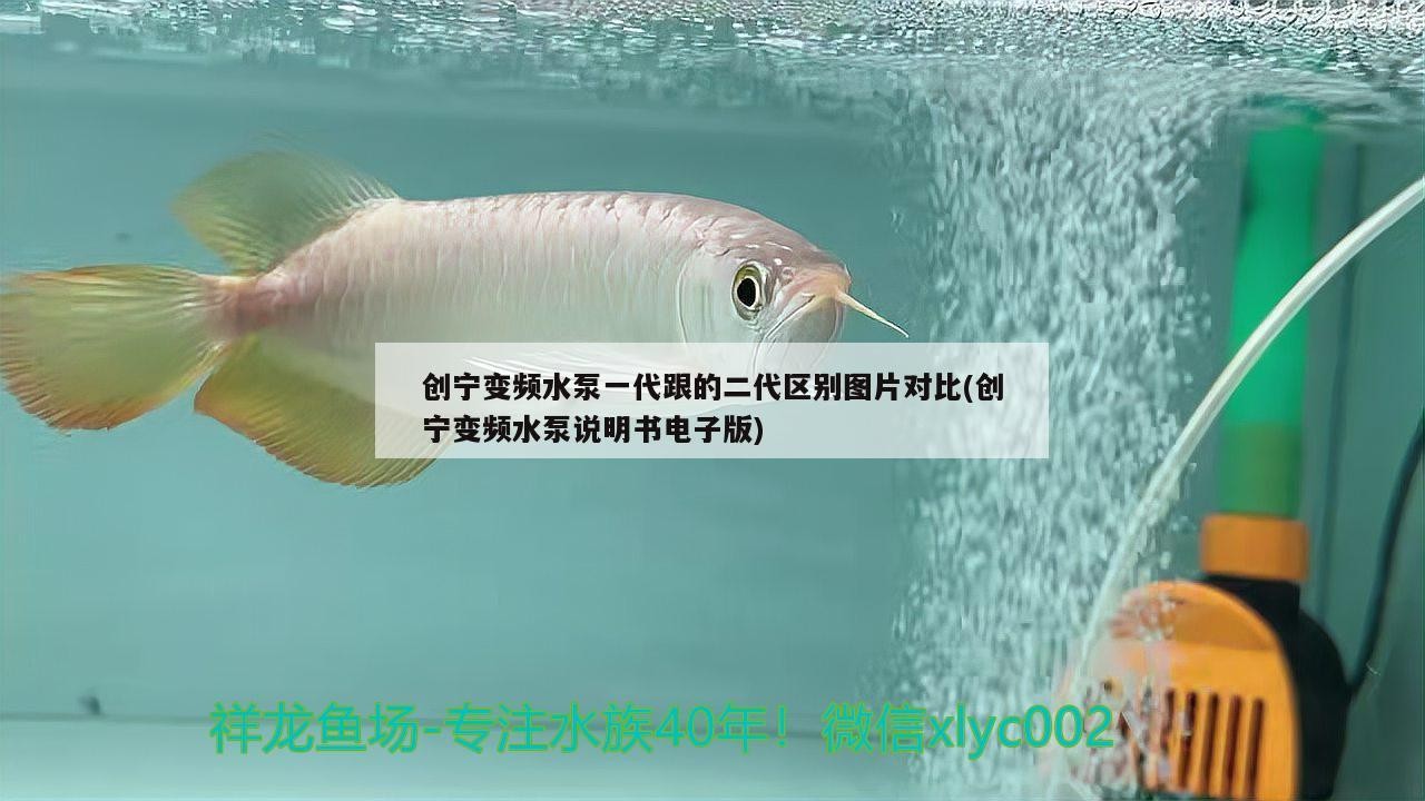 創(chuàng)寧變頻水泵一代跟的二代區(qū)別圖片對(duì)比(創(chuàng)寧變頻水泵說明書電子版)