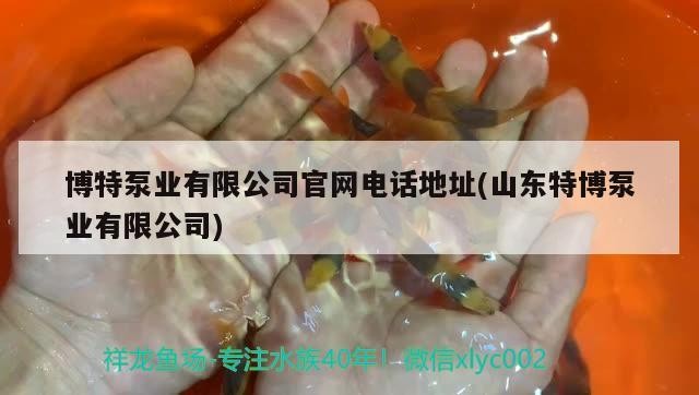 博特泵業(yè)有限公司官網(wǎng)電話地址(山東特博泵業(yè)有限公司)